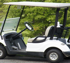 Getting Around Daufuskie. white golf cart
