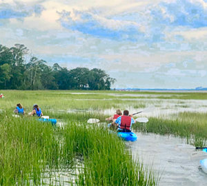 The Salt Marsh