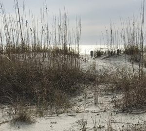 About the Beaches on Daufuskie Island. sand dunes