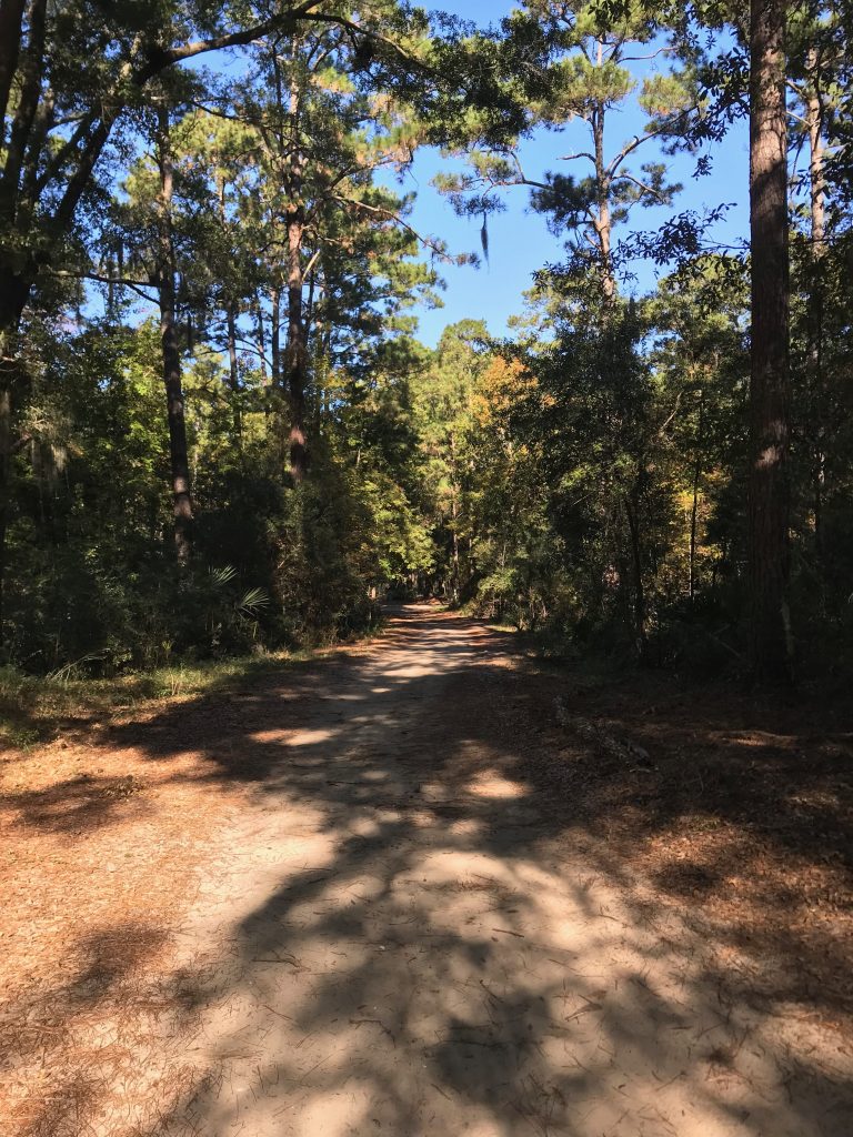 The Daufuskie Island Conservancy a dirt road with trees