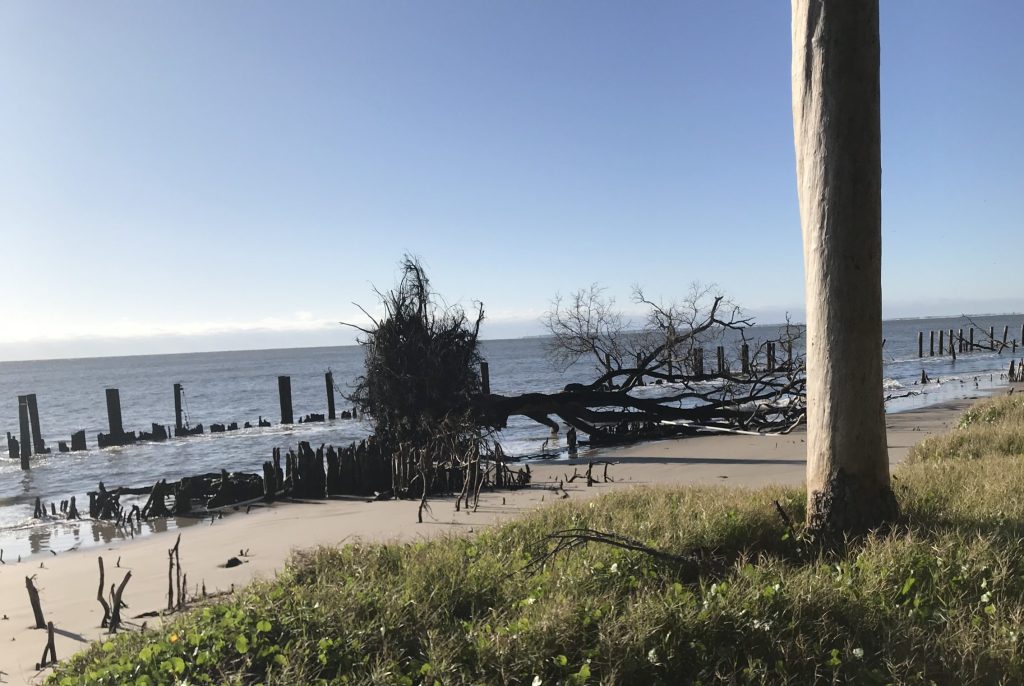 The Beaches of Daufuskie Island