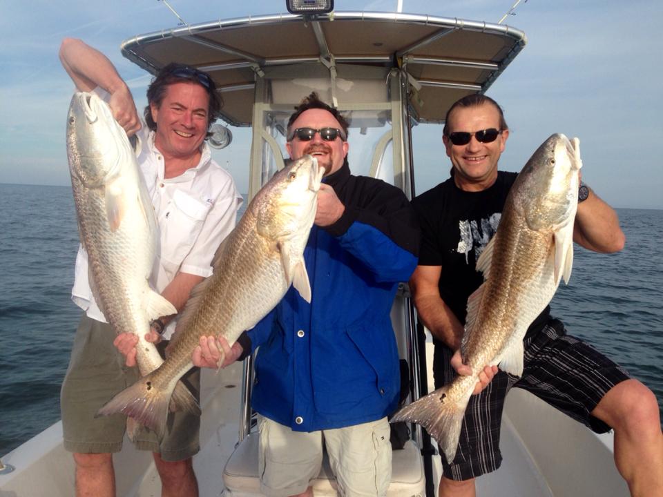 Fishing for Red Drum. men on boat with large fish 