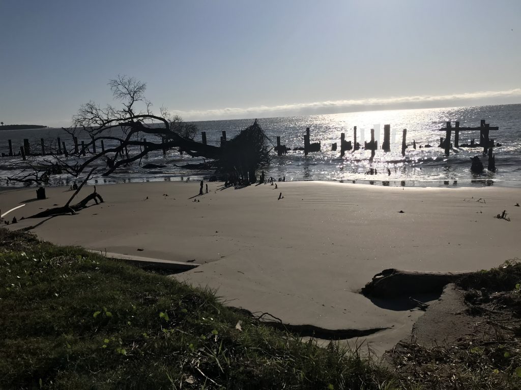 Tours to Take While on Daufuskie